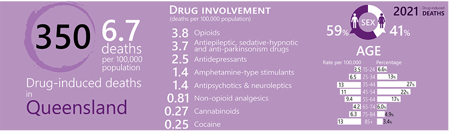 image - Trends in Overdose and Other Drug-Induced Deaths in Queensland, 2002-2021​