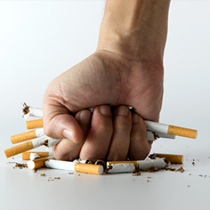 Image - Cytisine: Could it help smokers quit?