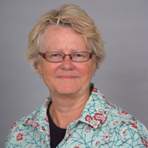 Professor Kate Dolan