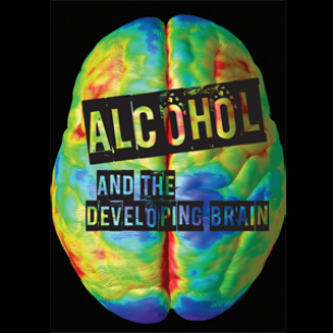 Alcohol and the developing brain: a resource from the NDARC Education Trust.