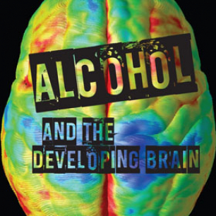 image - Alcohol Developing Brain Thumb