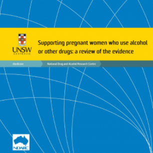 image - Supporting Pregnant Women Report Thumb