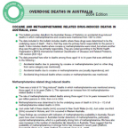 image - Cocaine And Meth Overdose Deaths In Australia 2004